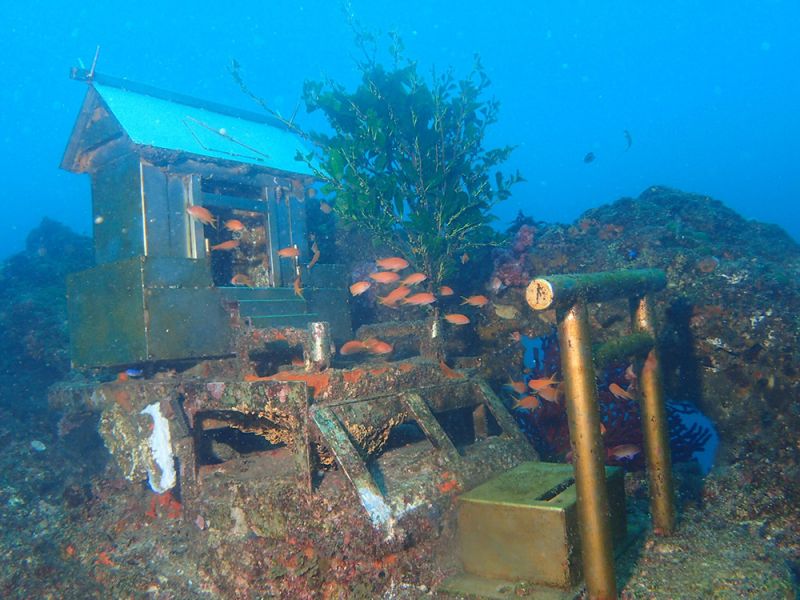 ngôi đền Thần đạo dưới biển Chiba